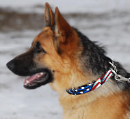 GSD dog collar - Hand painted by our artists
