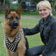Spiked Dog Harness for German Shepherd