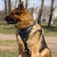 Agitation/Protection Leather Dog Harness-GSD