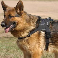 Nylon multi-purpose dog harness for tracking/pulling-dog harness