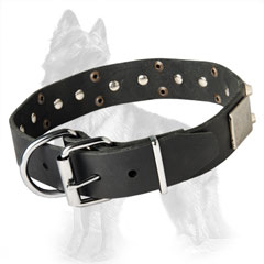 German-Shepherd Buckled Leather Collar Decorated with Old Nickel Plates and Pyramids