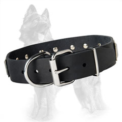 German-Shepherd Buckled Leather Collar Equipped with Rustproof Nickel Covered Hardware