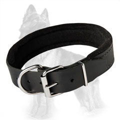Leather German-Shepherd Dog Collar With Felt Padding