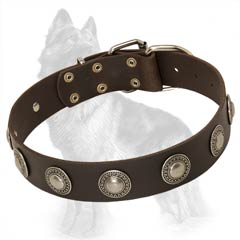 Leather German-Shepherd Dog Collar Decorated With  Nickel Circles