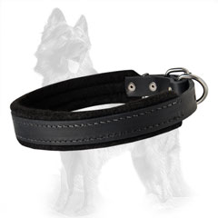 Carefully Stitched Leather German-Shepherd Dog Collar  With Soft Thick Felt Padding