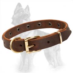 German-Shepherd Buckled Leather Dog Collar Suitable for  Puppies