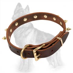 German-Shepherd Buckled Leather Dog Collar Brown Equipped with Brass Fittings