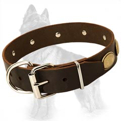German-Shepherd Buckled Leather Dog Collar Equipped with Rustproof Nickel Covered Fittings