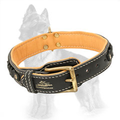 Buckled Leather German-Shepherd Collar Padded and Braided