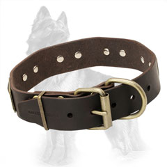 Buckled Leather German-Shepherd Collar with Riveted Old Brass Fittings