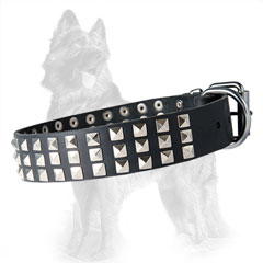 German-Shepherd Leather Dog Collar with Nickel Covered  Spikes, Buckle and D-Ring