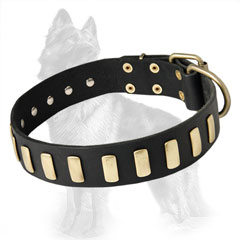 Riveted Leather German-Shepherd Dog Collar Decorated  With Plates