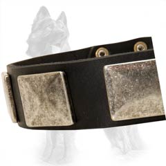 Exclusive Leather German-Shepherd Dog Collar Decorated  With Nickel Plates