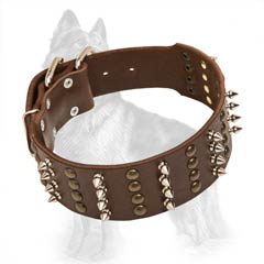 German-Shepherd Leather Dog Collar with Nickel Covered  Spikes, Buckle, D-Ring and Brass Studs