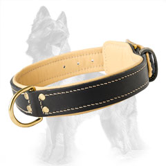 Reliable Leather German-Shepherd Dog Collar Equipped  With Brass Fittings