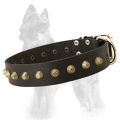 German-Shepherd Leather Dog Collar Studded with Brass  Pyramids