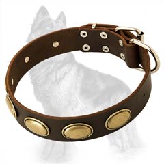 Over 20 sizes Leather Collar Decorated with Vintage Oval Old Brass Plates