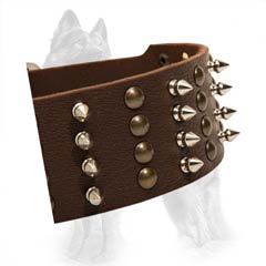German-Shepherd Leather Dog Collar Strap with Hand Set  Nickel Covered Spikes and Brass Studs