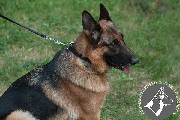 Classic Design Leather Collar for Strong German-Shepherd