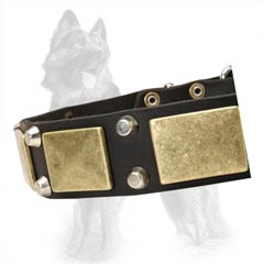 Old Brass Plates on GSD Leather Collar Equally Hand Set