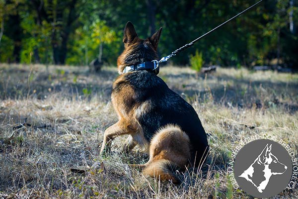 Reliable Leather German-Shepherd Collar with Non-corrosive Hardware