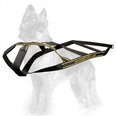 Body-Building Exercises For Your GSD With Our Nylon  Harness