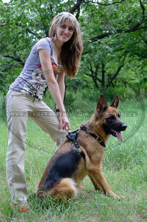 German-Shepherd Dog Harness for Moving Comfortable and Freely