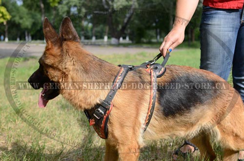 Fire Flames Painted Leather German-Shepherd Harness with Strong Handle