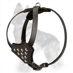 Studded Leather German-Shepherd Puppy Harness with Adjustable Straps