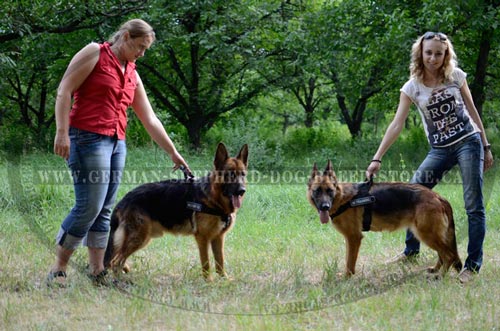 Nylon German-Shepherd Harness for Dog Training and Professional Working