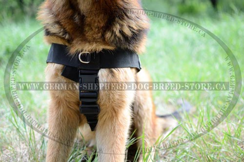 Nylon German-Shepherd Harness with Front Metal Ring