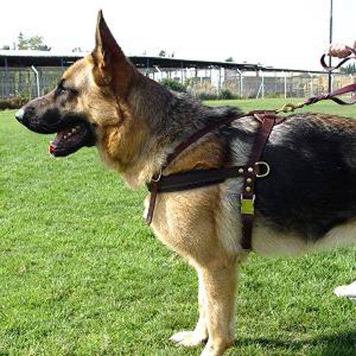 Perfect Pulling And Tracking German-Shepherd Dog Harness  For Your Pet