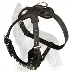 Padded Leather German-Shepherd Dog Harness With Pyramid  Studs