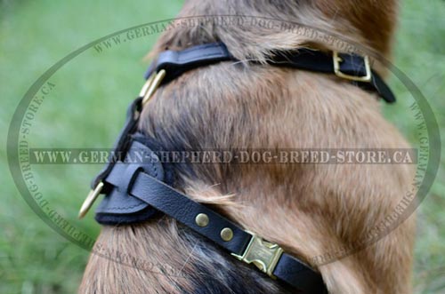 Leather Dog Harness Equipped with Reliable Quick Release Buckle