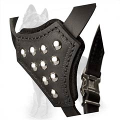 German-Shepherd Harness Front Plate Decorated with Studs