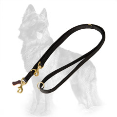 German-Shepherd Nylon Dog Leash Equipped with Two Snap Hooks