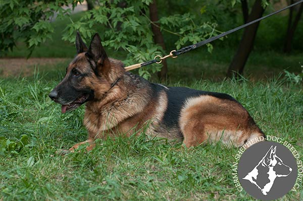 German-Shepherd leather leash of high quality with riveted hardware for daily activity