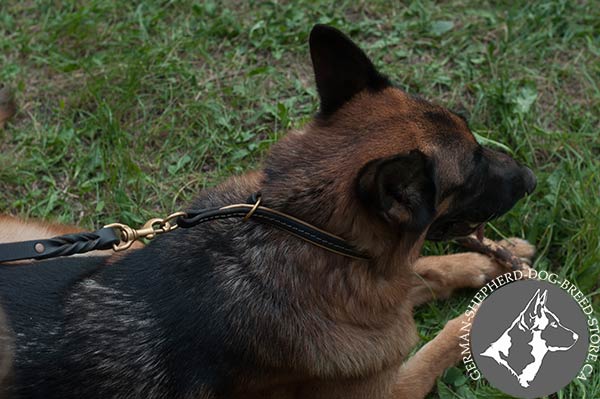 German-Shepherd leather leash of braided design with brass plated hardware for perfect control