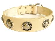Gorgeous Wide Leather Dog Collar With Silver Conchos