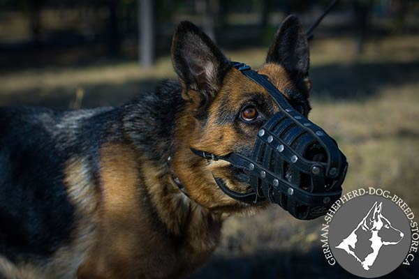Padded on Nose Leather German-Shepherd Muzzle for Best Comfort