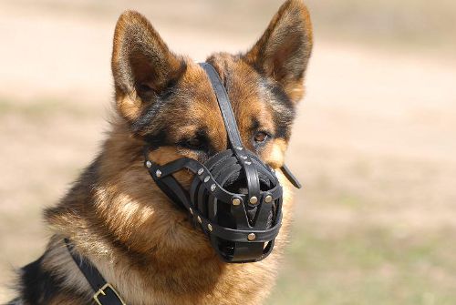 Ventilated German-Shepherd Muzzle with Durable  Fittings