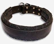 Leather dog collar padded with thick felt