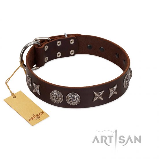 "Silver Sunset" Designer Handmade FDT Artisan Brown Leather German Shepherd Collar