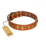 "Sand of Time" FDT Artisan Tan Leather German Shepherd Collar with Old Bronze-like Studs and Plates