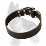 Wide Leather Dog Collar For German Shepherds