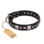 "Space Walk" FDT Artisan Black Leather German Shepherd Collar with Adornments
