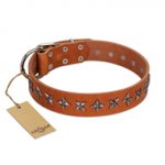 "Star Trek" FDT Artisan Tan Leather German Shepherd Collar Decorated with Stars