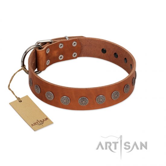"Lucky Star" Handmade FDT Artisan Designer Tan Leather German Shepherd Collar with Round Plates