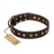 "Bronze Sheen" FDT Artisan Leather German Shepherd Collar with Brass-Plated Studs