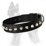 German Shepherd Nylon Dog Collar with Nickle Pyramids